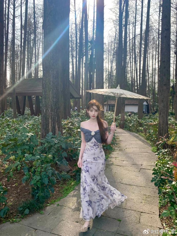 风骚律师 封面